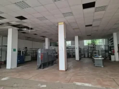 #2536393 Capannone commerciale per molteplici servizi