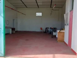 #23285 Capannone con area di pertinenza edificabile