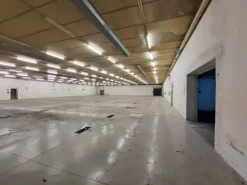 #19557 Capannone con capacità edificatoria residua
