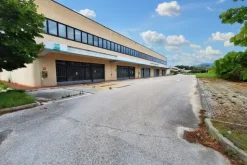 #21368 Capannone con impianto fotovoltaico, arredi e azioni societarie