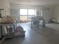 #11193 Capannone con uffici, oltre a cava e terreni agricoli