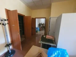 #25699 Capannone di due piani con corte