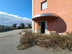 #25699 Capannone di due piani con corte
