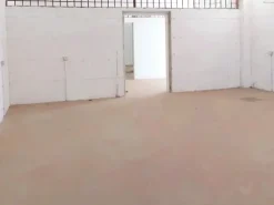 #20844 Capannone industriale con area di pertinenza