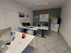 #15290 Capannone industriale con area pertinenziale Occupato con indennità economica