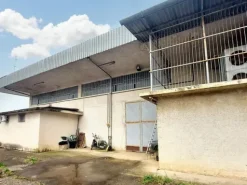 #24975 Capannone industriale e terreno edificabile