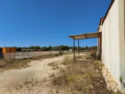 #10007 Capannoni industriali con corte di pertinenza