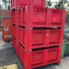 CASSE AGRIBOX VERARDI ROSSE