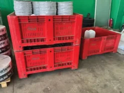 CASSE AGRIBOX VERARDI ROSSE