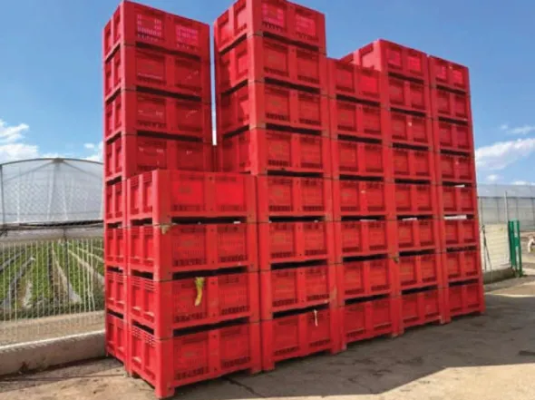CASSE AGRIBOX VERARDI ROSSE