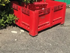 CASSE AGRIBOX VERARDI ROSSE