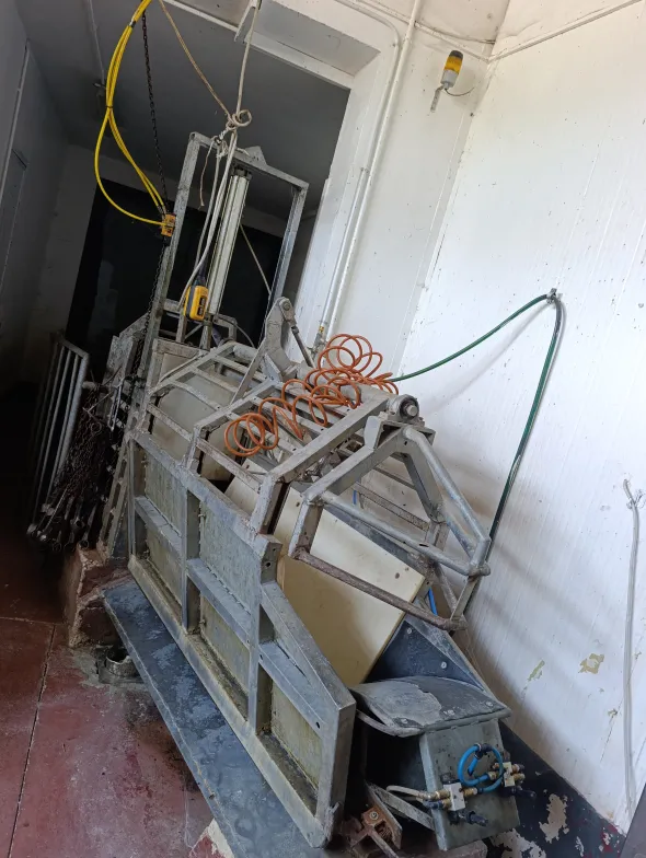 catena linea bovini,suini,zona tripperia,storditore
