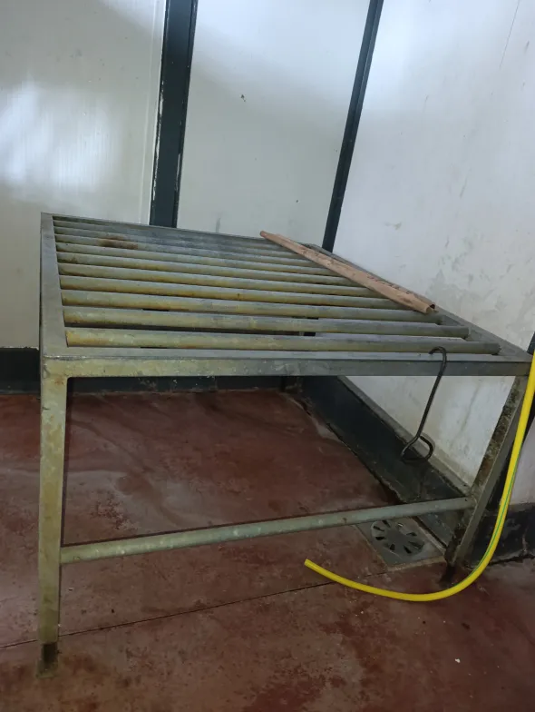 catena linea bovini,suini,zona tripperia,storditore