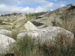 #8926 Cava di calcare e terreni estrattivi