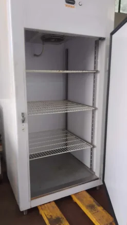 CELLA FRIGO COMPLEX TN POSITIVA