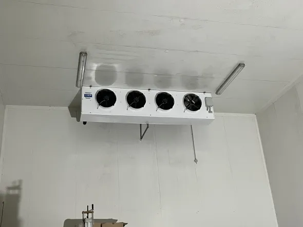 Cella Frigo grandi dimensioni