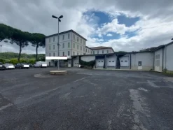 1#7971 Cessione di azienda dedita alla macellazione e commercializzazione di carni suine fresche e stagionate
