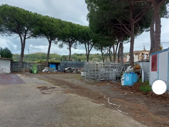 1#7971 Cessione di azienda dedita alla macellazione e commercializzazione di carni suine fresche e stagionate