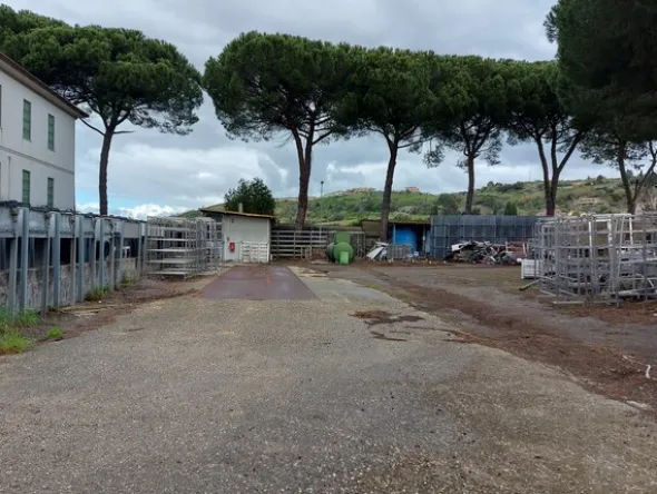 1#7971 Cessione di azienda dedita alla macellazione e commercializzazione di carni suine fresche e stagionate