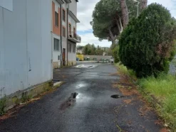 1#7971 Cessione di azienda dedita alla macellazione e commercializzazione di carni suine fresche e stagionate