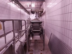 1#7971 Cessione di azienda dedita alla macellazione e commercializzazione di carni suine fresche e stagionate