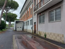 1#7971 Cessione di azienda dedita alla macellazione e commercializzazione di carni suine fresche e stagionate