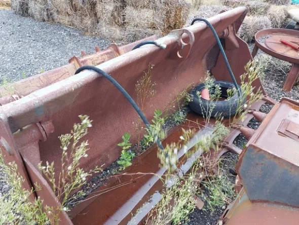 1#8009 Cessione di azienda dedita specializzata in impianti elettrici