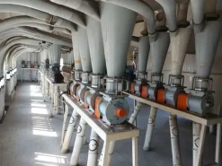 #20775 Cessione di complesso aziendale adibito a molino