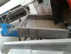 9#2447 Coclee
