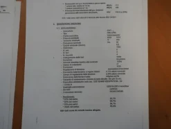 31#8478 Cogeneratore Caterpillar