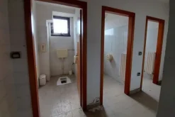 #14776 Complesso artigianale con casa custode
