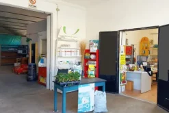 #20410 Complesso artigianale con cortile e pertinenze