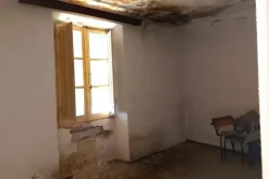 #21461 Complesso artigianale con cortile e pertinenze