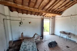 #24061 Complesso artigianale con un appartamento