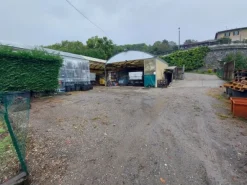#14609 Complesso aziendale con terreni agricoli e deposito