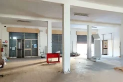 #19433 Complesso commerciale con cortile e pertinenze