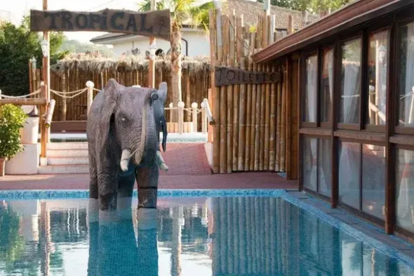#15979 Complesso immobiliare ricettivo con abitazione ristorante piscina e sala ballo