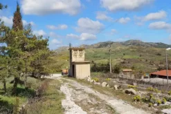 #20445 Complesso produttivo con possibilità di ampliamento