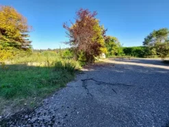 #22952 Complesso produttivo su terreno oggetto di riqualificazione urbanistica a destinazione residenziale