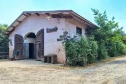 #2535007 Complesso ricettivo con piscina e maneggio