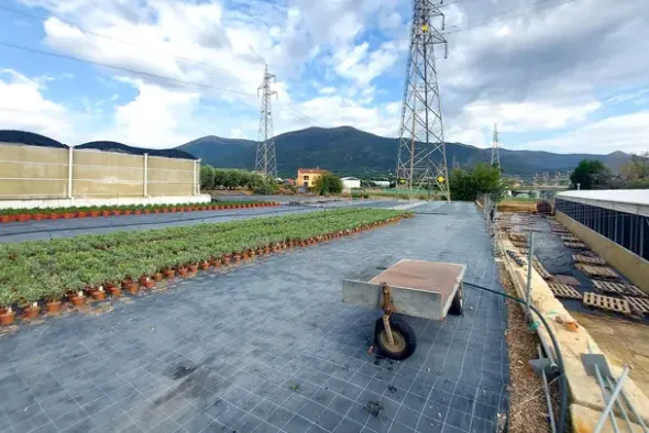 #24370 Complesso rurale con fotovoltaico e mobili