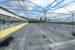 #24370 Complesso rurale con fotovoltaico e mobili