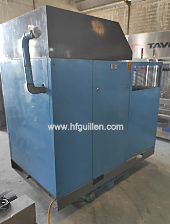 COMPRESSORE A VITE WORTHINGTON CREYSSENSAC ROLLAIR