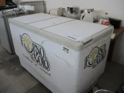 29#2983 Congelatori a pozzetto