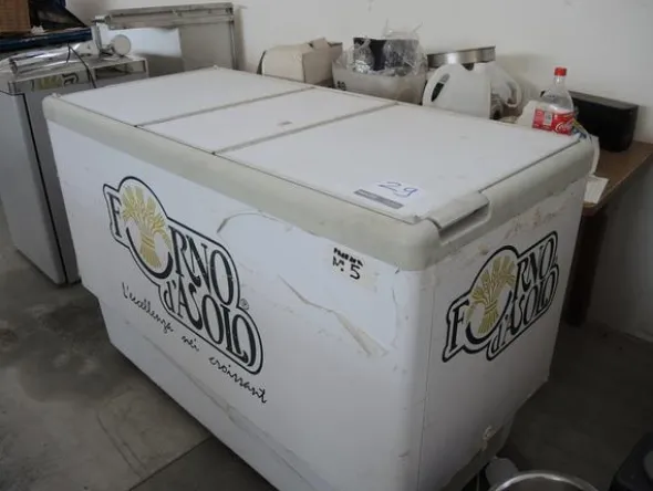 29#2983 Congelatori a pozzetto