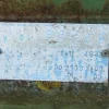 2082#3561 Container con coperchio BTE