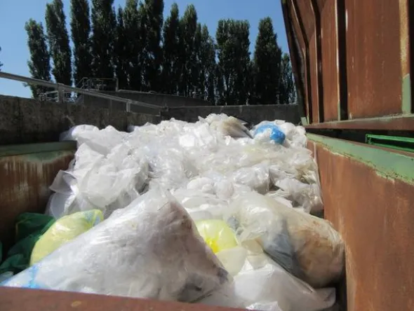 2081#3561 Container con coperchio BTE