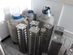14#3675 Crioconservatore per azoto liquido MVE XLC-500