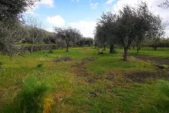 #20354 Depositi con terreno