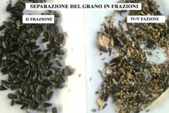Detergente per cereali / Separatore aerodinamico ASM-15